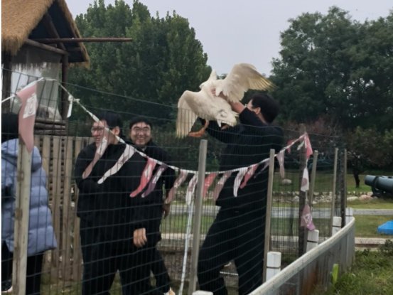 1763708286048029942.png image.png